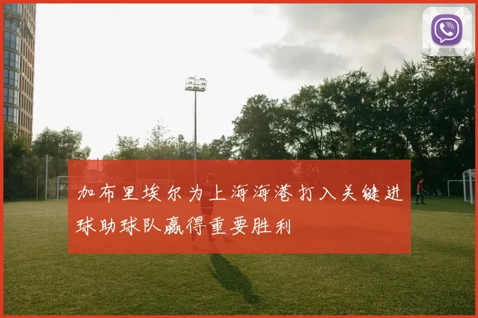 加布里埃尔为上海海港打入关键进球助球队赢得重要胜利